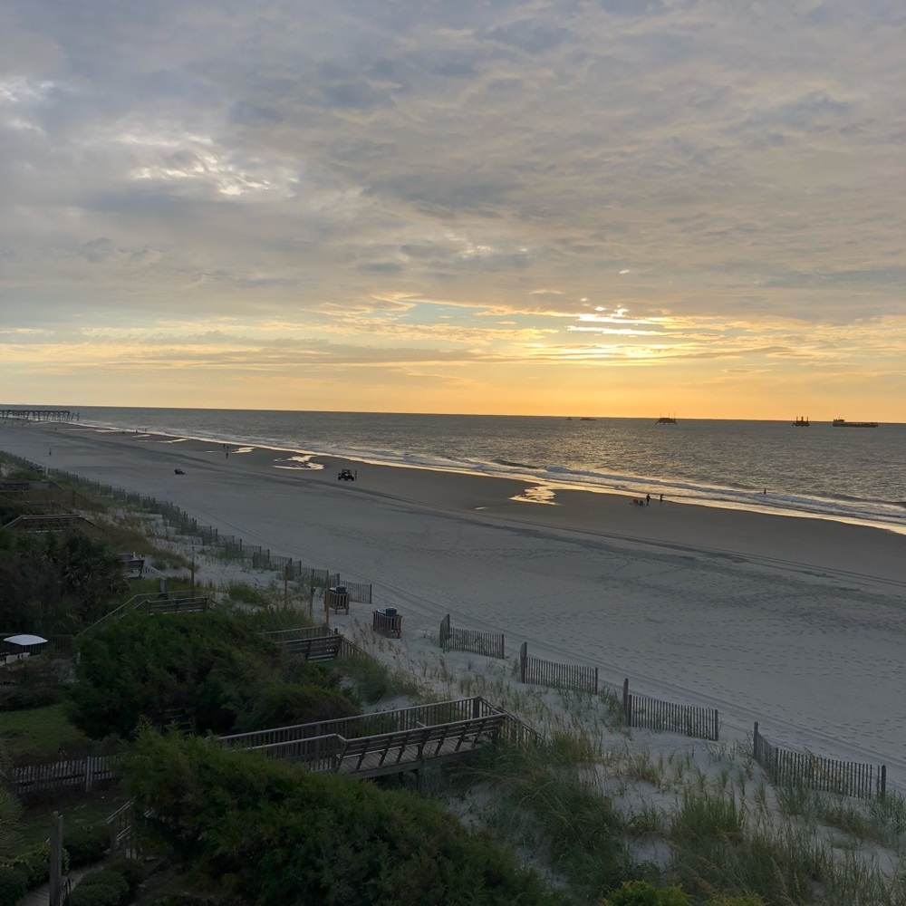 Meet your Posher, Suzanne